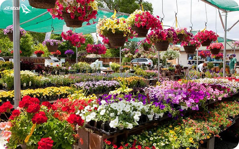 بازار گل خاوران  بازار گل خاوران