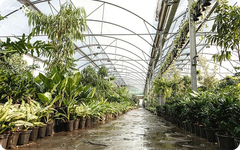 بازار گل شهید لشگری