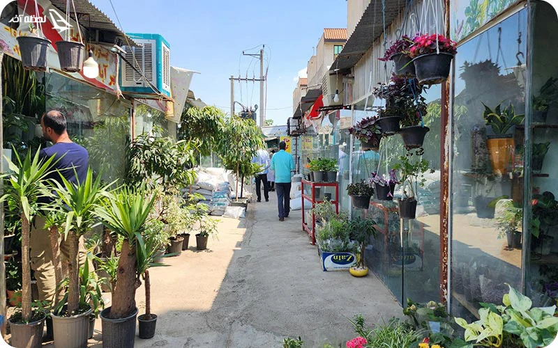 بازار گل ولیعصر بازار گل ولیعصر