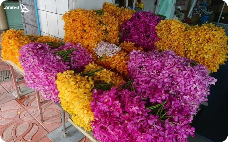 بازار گل پاک کلونگ (Pak Khlong) بازار گل پاک کلونگ (Pak Khlong)؛ رنگها و عطرهای بهشتی
