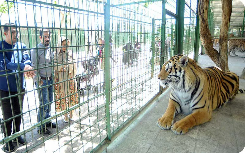 باغ وحش مشهد؛ دنیای حیوانات