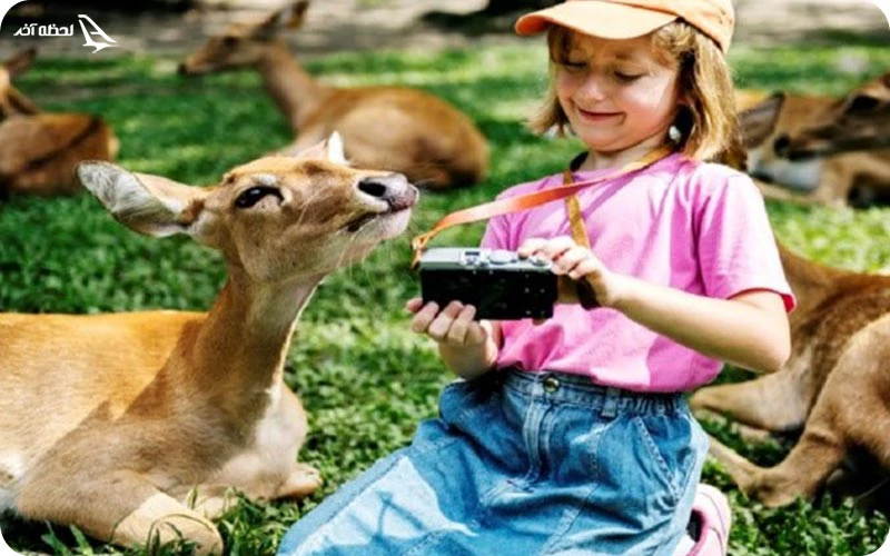 باغ وحش تورنتو باغ وحش تورنتو