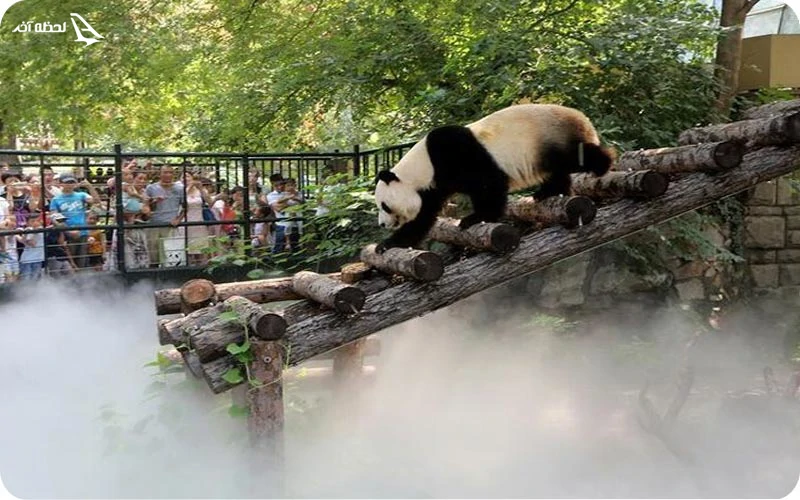 متنوع ترین گونه حیوانات در باغ وحش سوچی باغ وحش سوچی