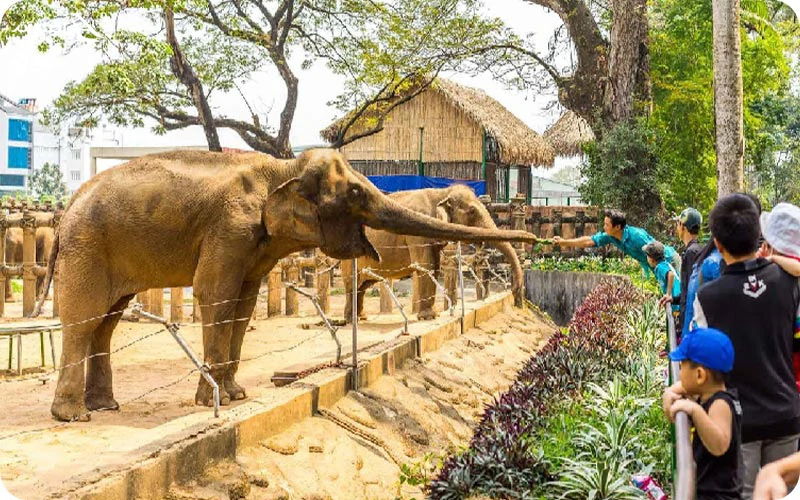 باغ وحش ویلهلما و باغ‌ های گیاه شناسی؛ تجربه‌ای آرامش‌بخش