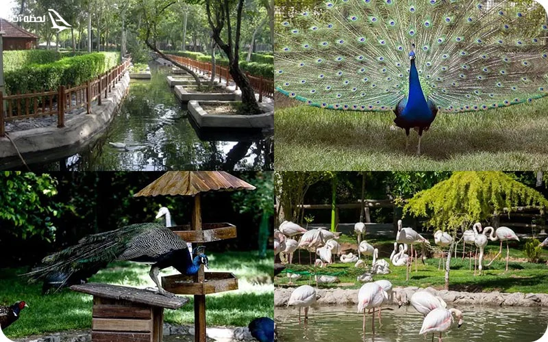 باغ پرندگان اصفهان از 6 بخش تشکیل می‌شود