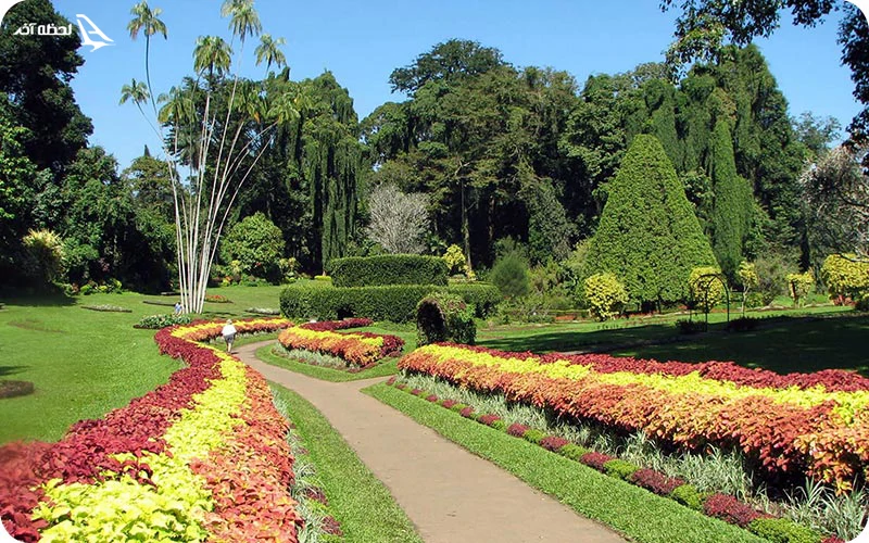 باغ گیاه شناسی چابهار (باغ گیاه شناسی تیس)