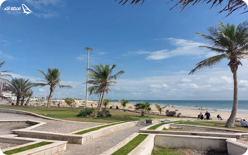 پارک زیتون قشم پارک زیتون قشم