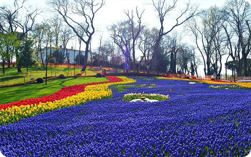 پارک امیرگان استانبول پارک امیرگان