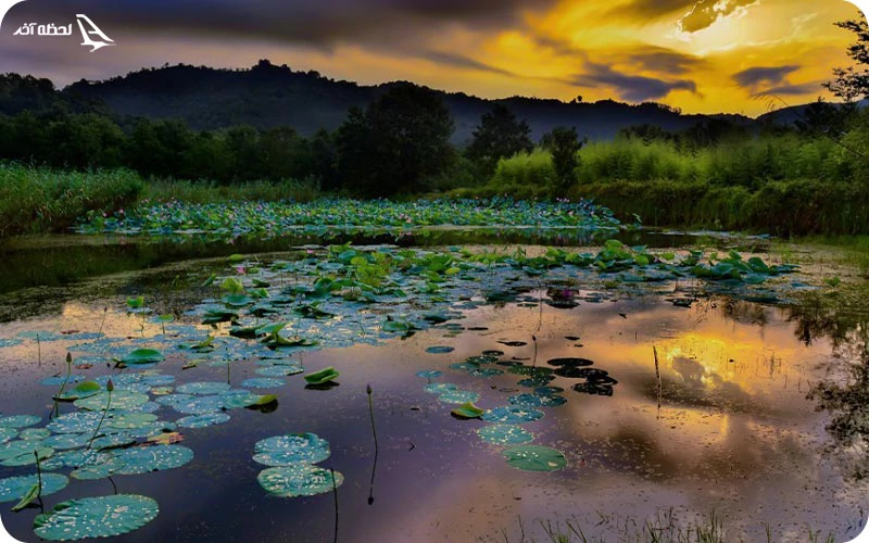 تالاب سوستان؛ نگینی پنهان در دل لاهیجان تالاب سوستان