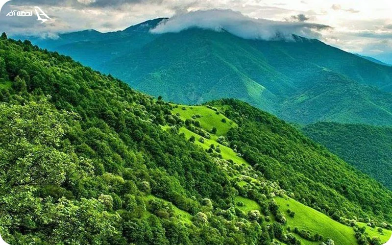 جنگل ارسباران