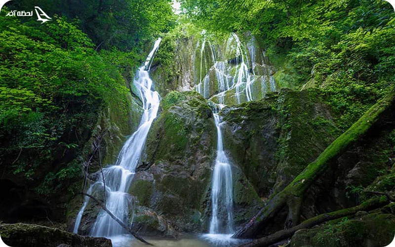 جنگل لفور کجاست؟ جنگل لفور