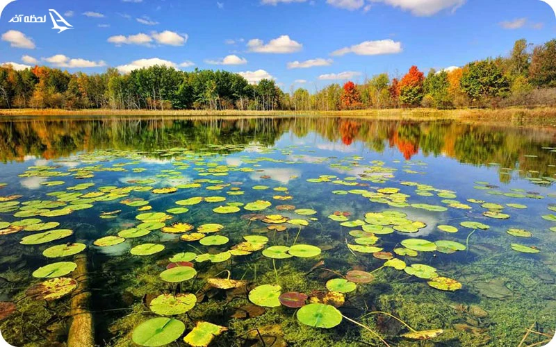 بندر انزلی بندر انزلی؛ شهری اروپایی و سرسبز در ایران