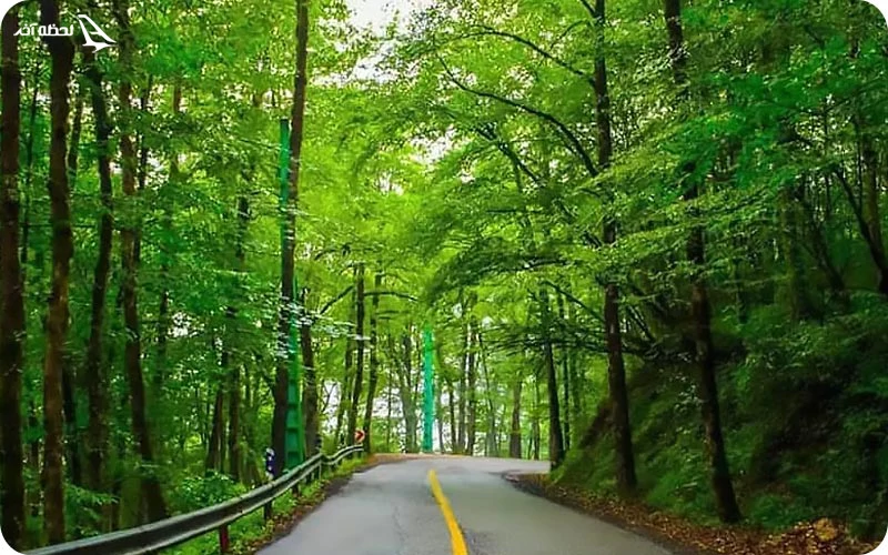 به دیدن جاذبه های دیدنی جنگل دالخانی بروید جاذبه های دیدنی جنگل دالخانی