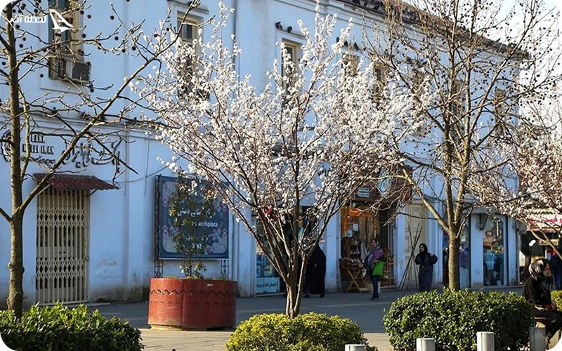 جاهای دیدنی رشت در بهار