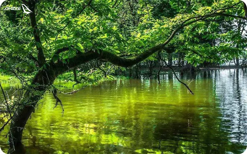 بهترین زمان بازدید از دریاچه نورماس بهترین زمان بازدید از دریاچه نورماس؛ بهترین فصل برای لذت از طبیعت