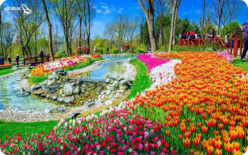 جشنواره گل لاله در پارک امیگان استانبول جشنواره گل لاله در پارک امیگان استانبول؛ شکوه بهار در دل شهر