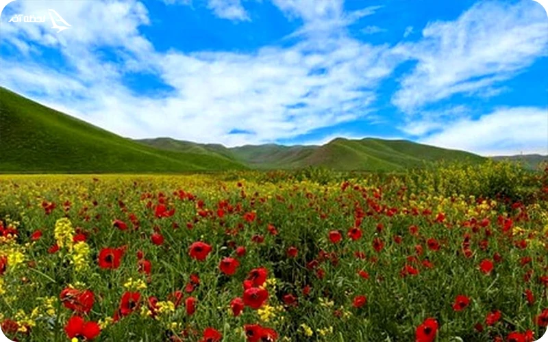 بهترین زمان سفر به بندر ترکمن؛ از آب‌وهوا تا کورس اسب سواری