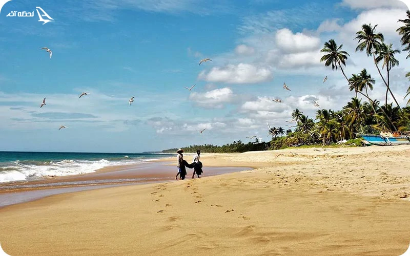 بهترین زمان سفر به سریلانکا بهترین زمان سفر به سریلانکا