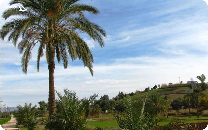 بهترین زمان برای سفر به قصر شیرین چه فصلی است؟