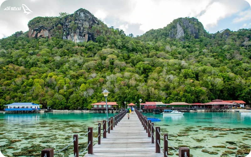 جزیره بورنئو کجاست؟ بورنئو؛ سفری به سرزمین جنگلهای انبوه