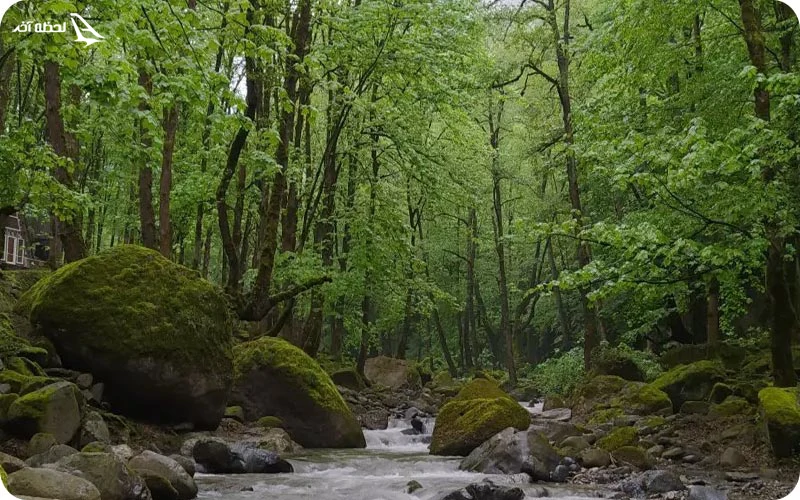 بوستان جنگلی صفارود