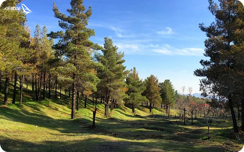 تاریخچه پارک لویزان