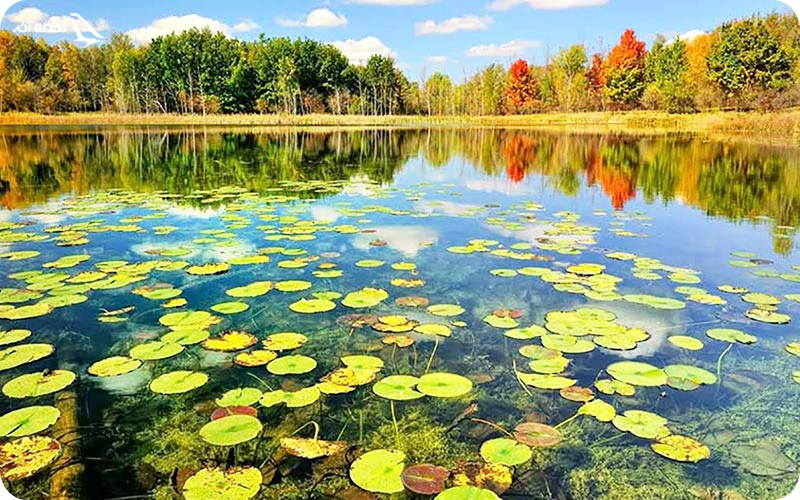 تالاب سیاه درویشان تالاب سیاه درویشان