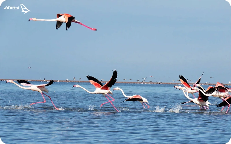 تالاب گمیشان