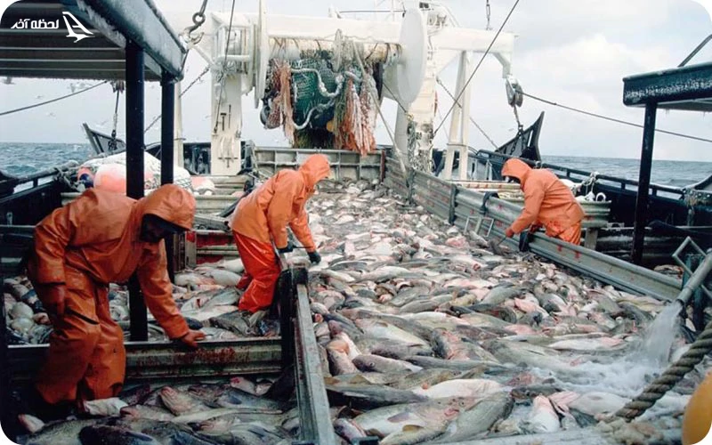 تجارت، نجاری و ماهی‌گیری دایره اصلی اقتصاد مسقط را تشکیل می‌دهد