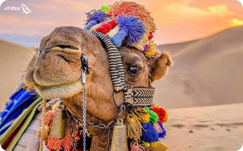 کویر زیبای یزد کویر یزد