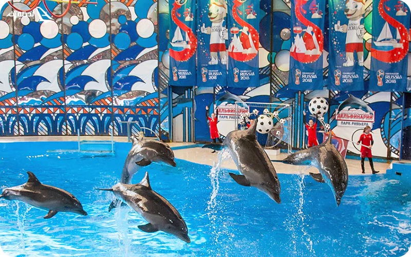 تفریحاتی که باید در سوچی انجام داد! تفریحات شهر سوچی