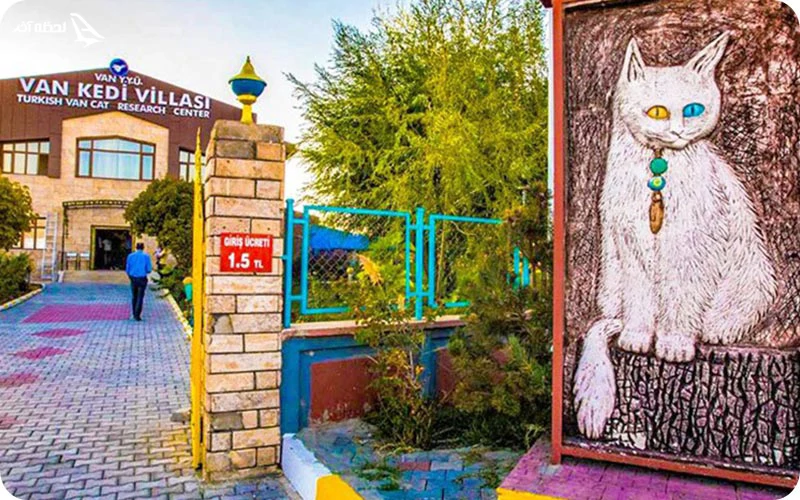 چه تفریحاتی در وان وجود دارد؟