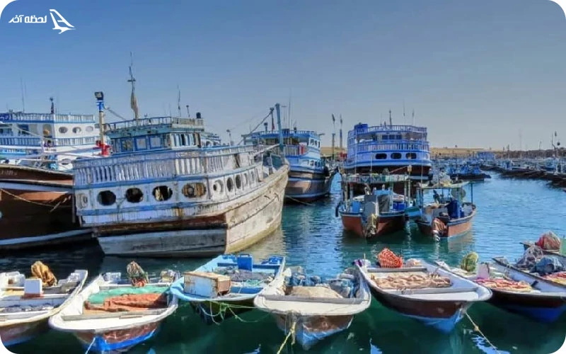 تماشای مرغان درایی در  اسکله پزم تیاب