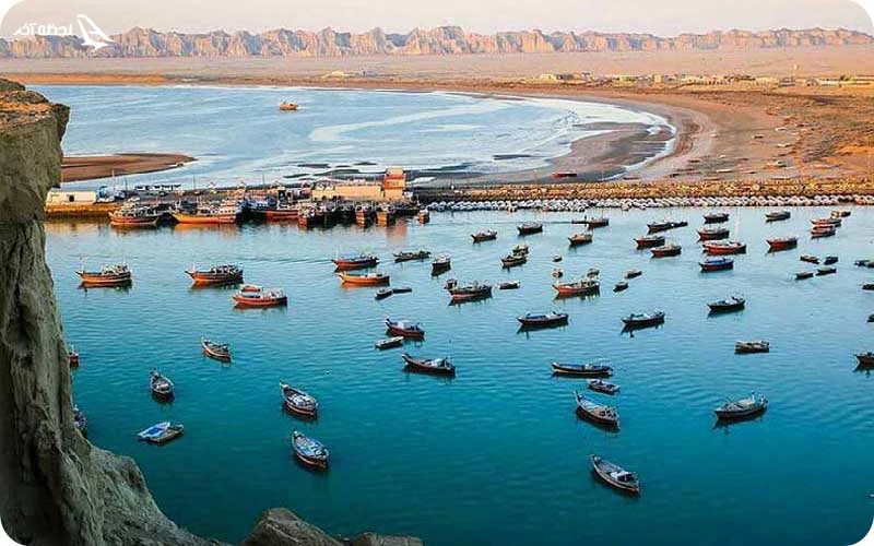 تماشای پرندگان مهاجر در اسکله کنارک