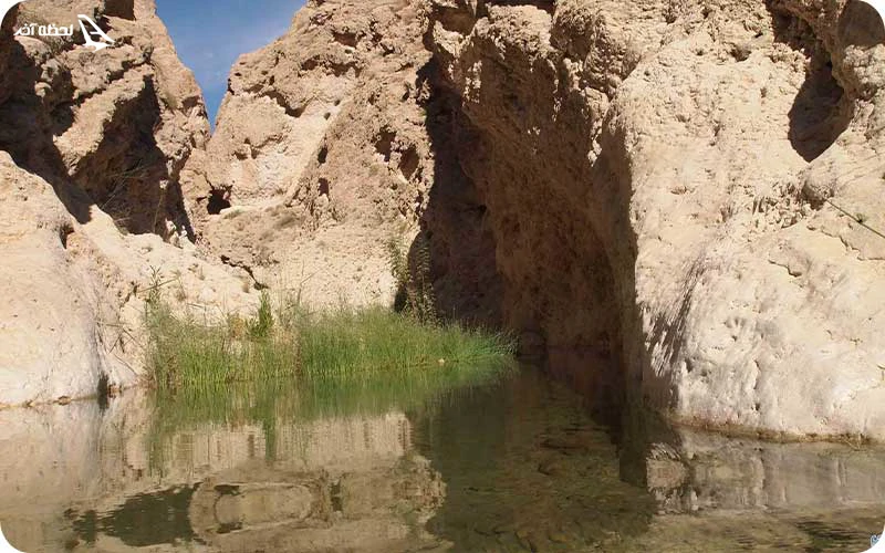 تنگ هیخ؛ چشمه آب شیرین و خرچنگ‌های بازیگوش