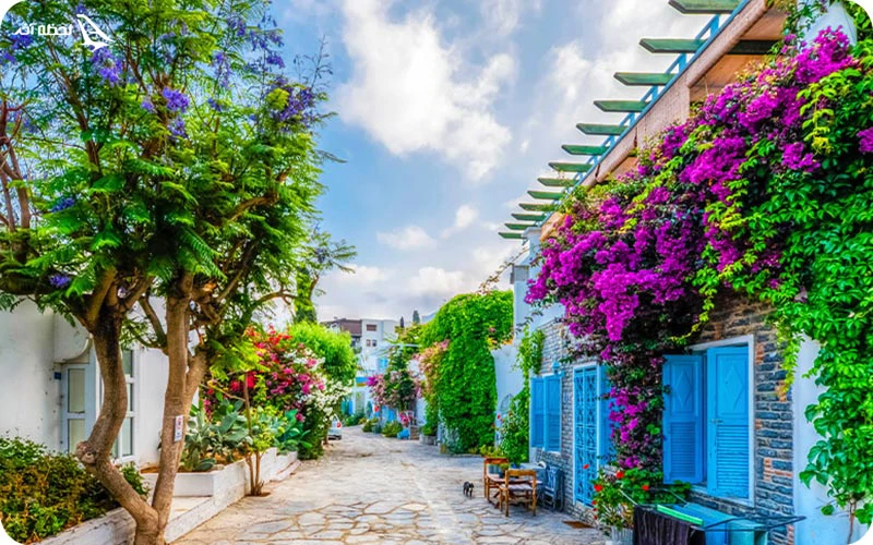 تور بدروم 4 شب تور بدروم 4 شب هم برگزار میشود؟