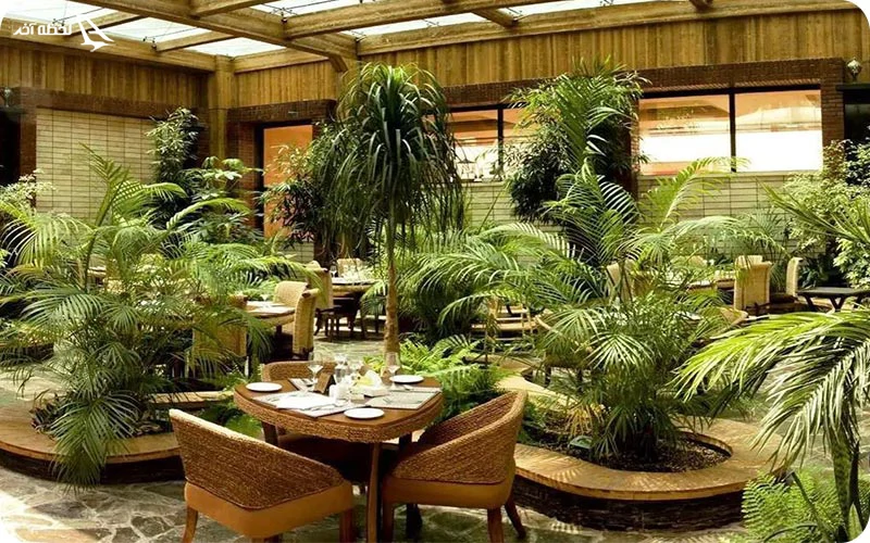 تور مشهد هتل درویشی هوایی