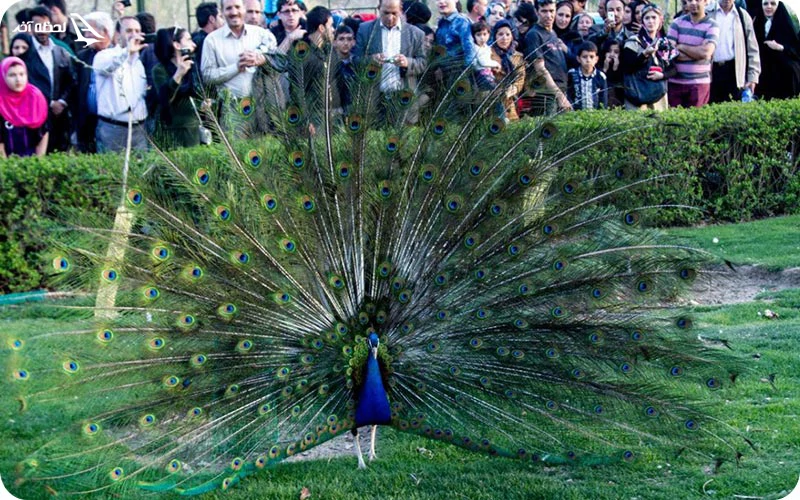 جاذبه‌های اطراف باغ پرندگان اصفهان