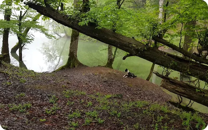 جاهای دیدنی ساری؛ ترکیبی منحصربه‌‎فرد از تاریخ و طبیعت