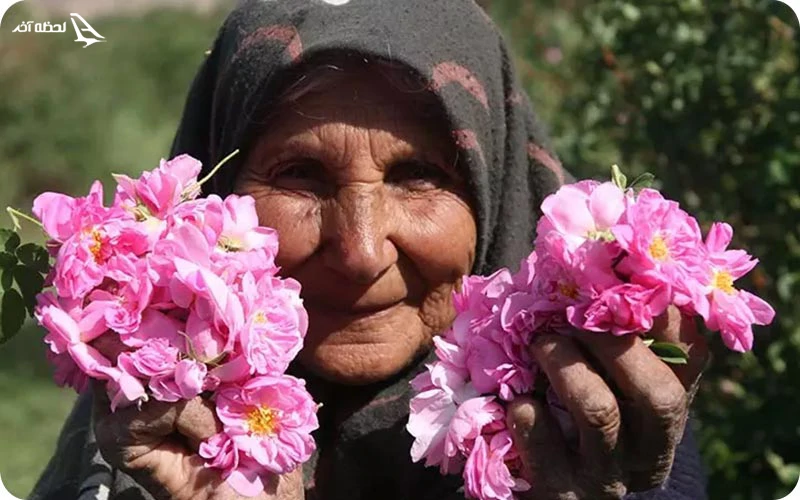جشنواره لتان؛ معروف به جشن گلاب گیری کاشان جشنواره لتان
