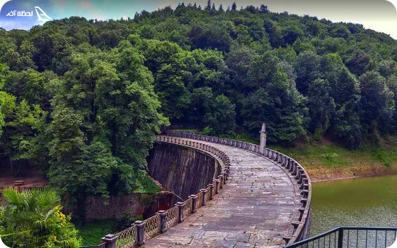 جنگل بلگراد؛ طبیعت بکر و چشم‌نواز