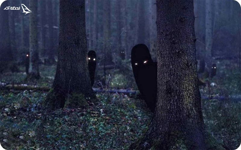 جنگل جیغ؛ شنیدن صداهای وهم‌انگیز و مرموز در شب
