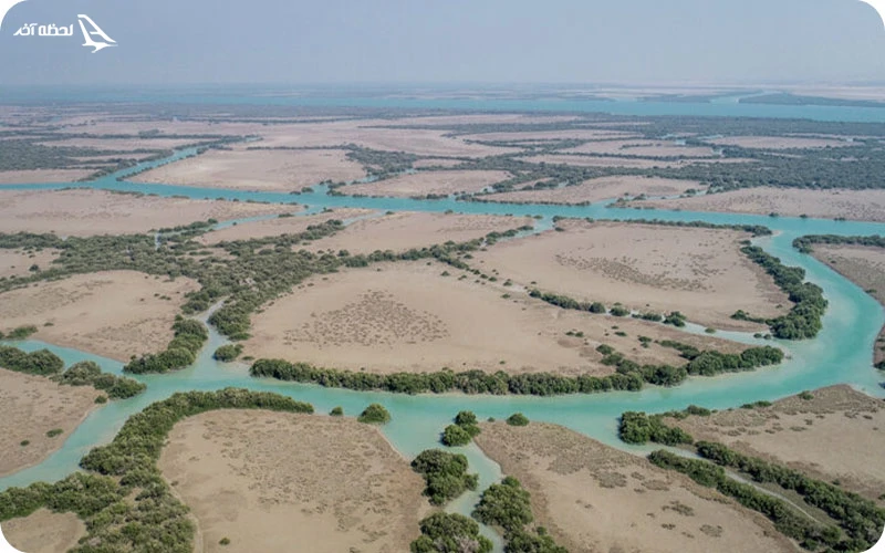 جنگل‌های حرا؛ طبیعتی حیرت‌انگیز