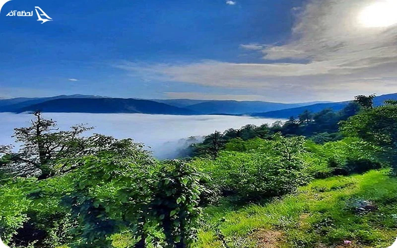 جنگل دالخانی؛ جنگلی با آب و هوای خنک و دلپذیر جنگل دالخانی؛ جنگلی با آب و هوای خنک و دلپذیر