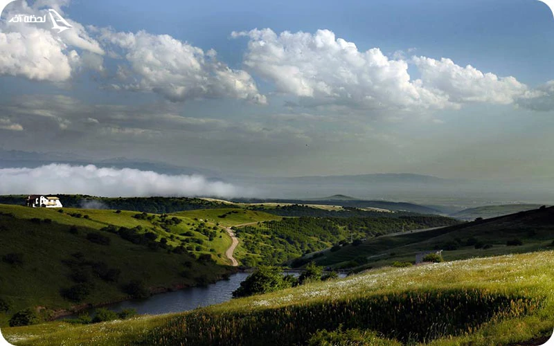 جنگل فندقلو جنگل فندقلو