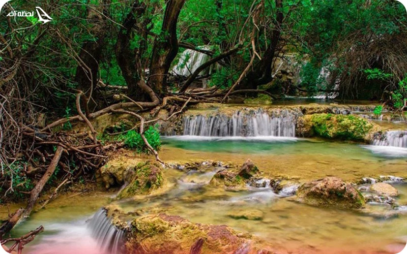 جنگلهای زیبای نای جنگلهای بکر نای با آبشار زیبای پلکانی