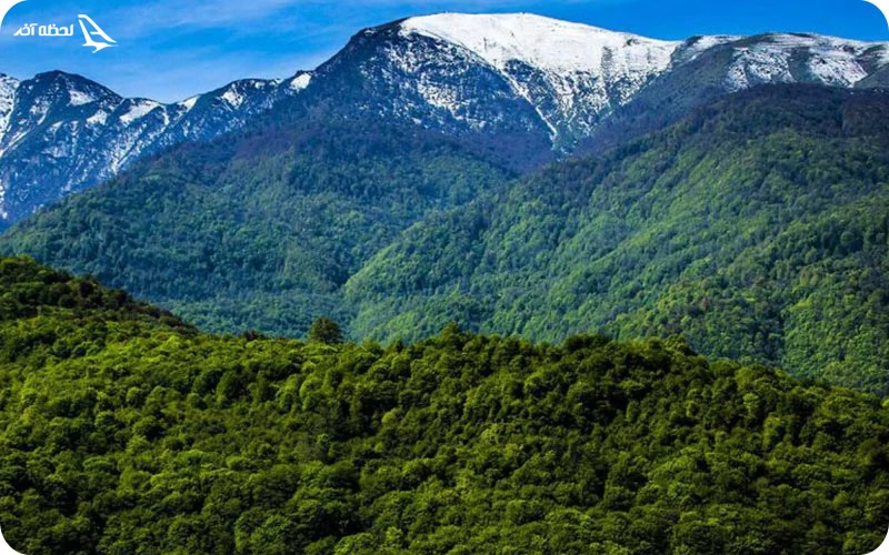 جنگل‌های هیرکانی