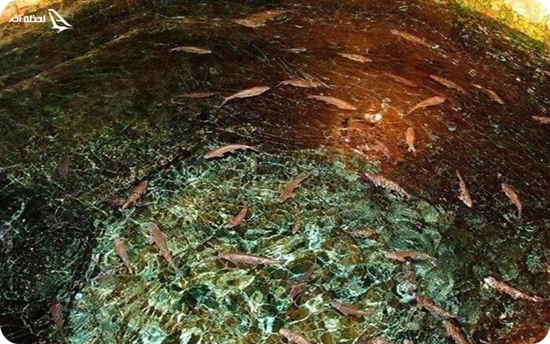 گردش آب؛ قنات و حوض‌ها