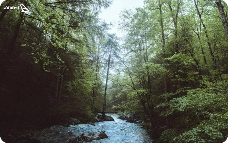 خونی نادی در کشور هند