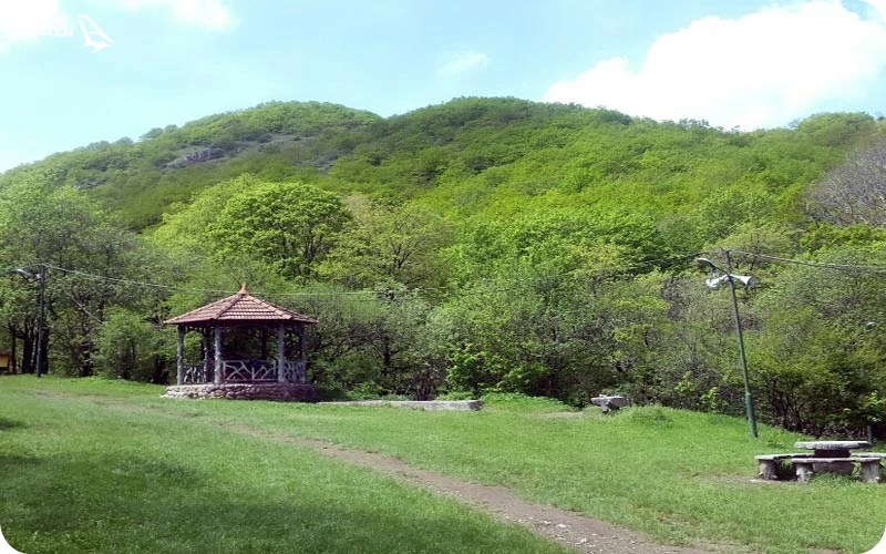 دره و پارک جنگلی مکیدی؛ کشف گیاهان دارویی